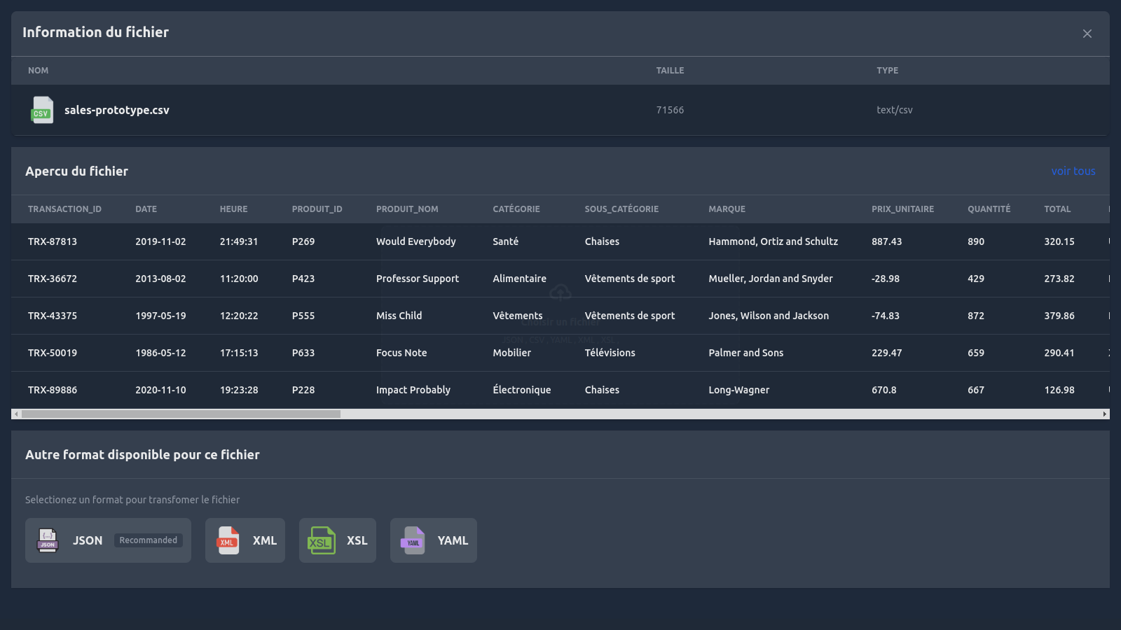 project preview